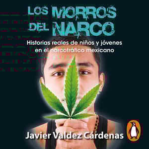Los morros del narco