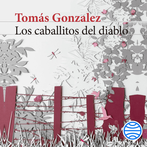 Los caballitos del diablo