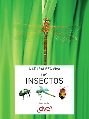 Los insectos