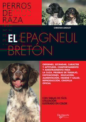 El Épagneul Bretón