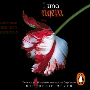 Luna nueva