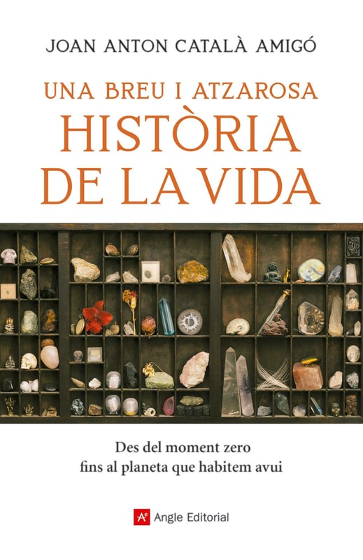 Una breu i atzarosa història de la vida