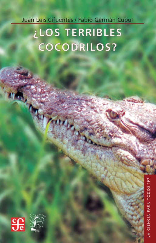 ¿Los terribles cocodrilos?
