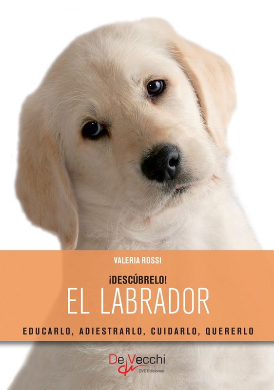 El labrador