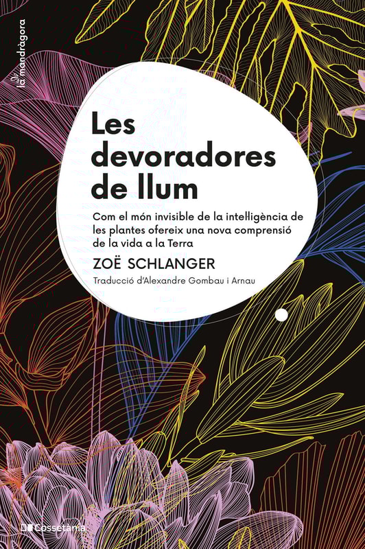 Les devoradores de llum