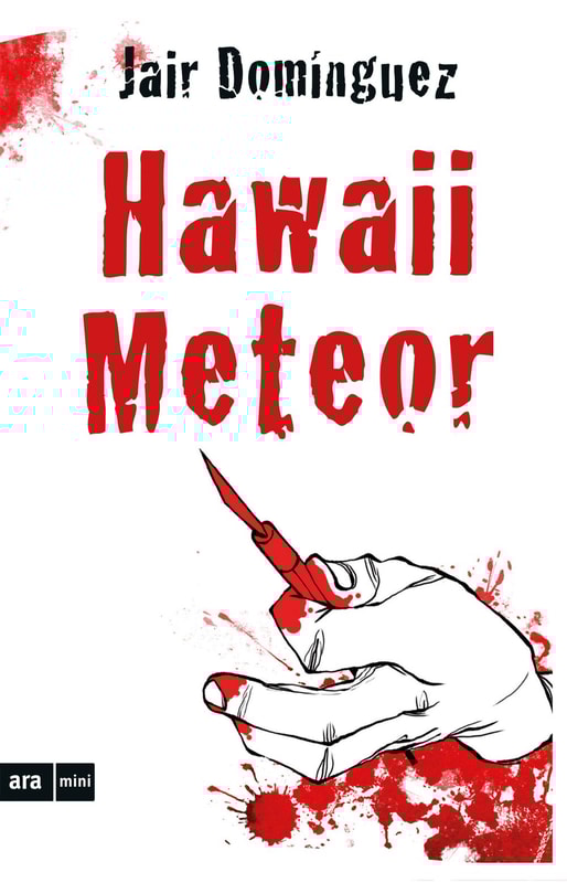Hawaii Meteor
