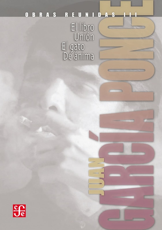 Obras reunidas, III. Novelas cortas II