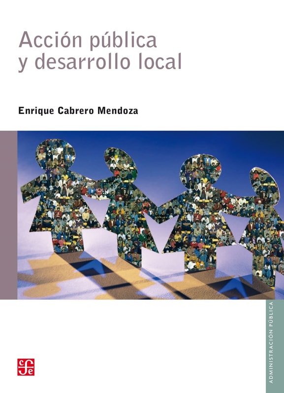 Acción pública y desarrollo local
