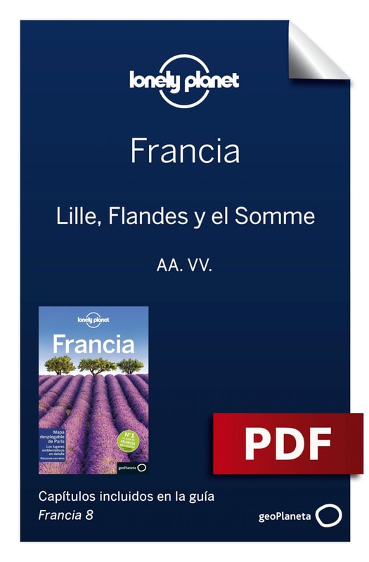 Francia 8_4. Lille, Flandes y el Somme