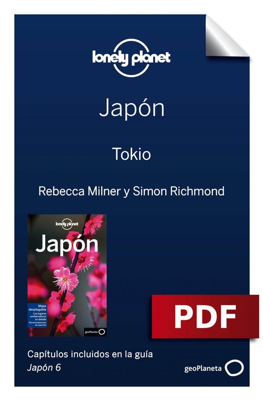 Japón 6. Tokio