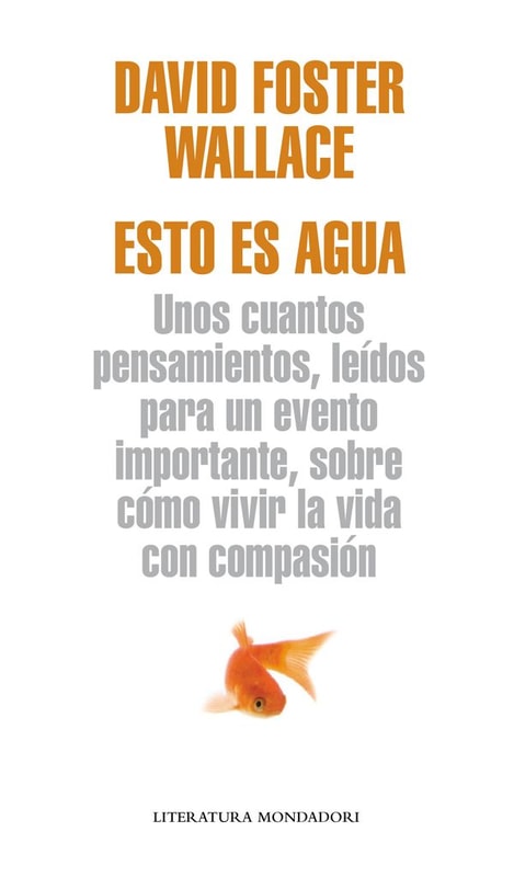Esto es agua (Flash Ensayo)