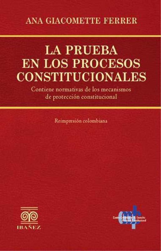 La prueba en los procesos constitucionales
