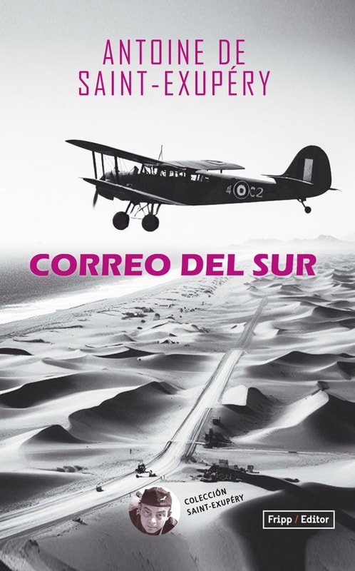 CORREO DEL SUR