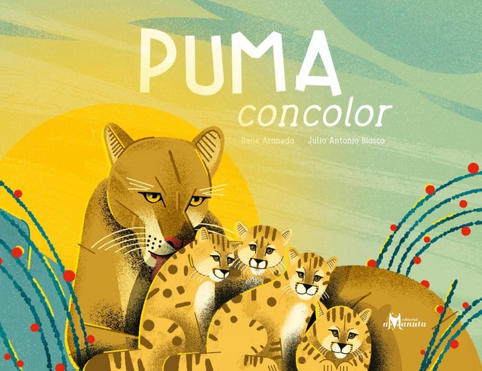 Puma concolor