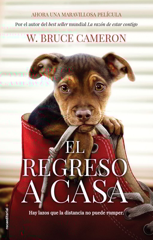 La razón de estar contigo. El regreso a casa 1 - El regreso a casa