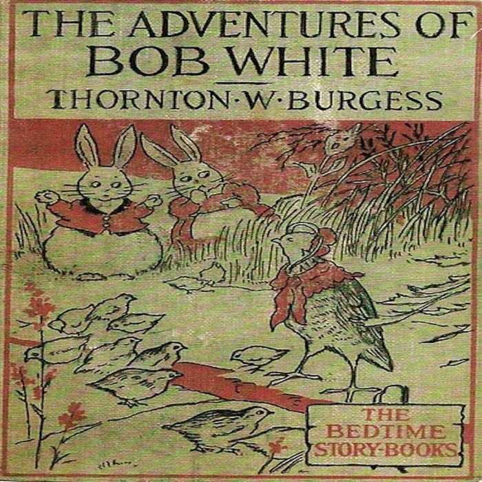 The Adventures of Bob White