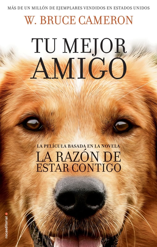 La razón de estar contigo 1 - La razón de estar contigo
