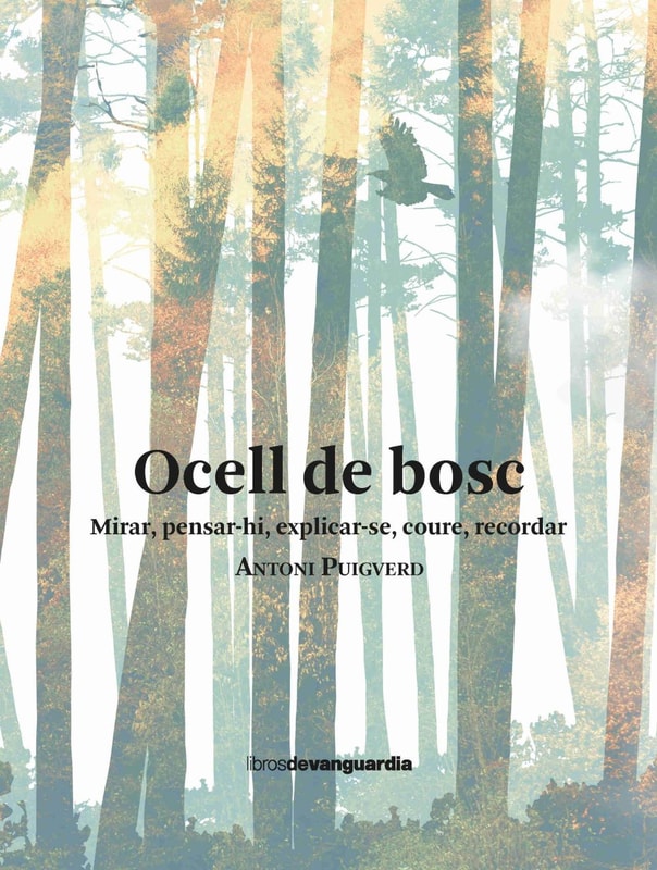 Ocell de bosc. Mirar, pensar-hi, explicar-se, coure, recordar