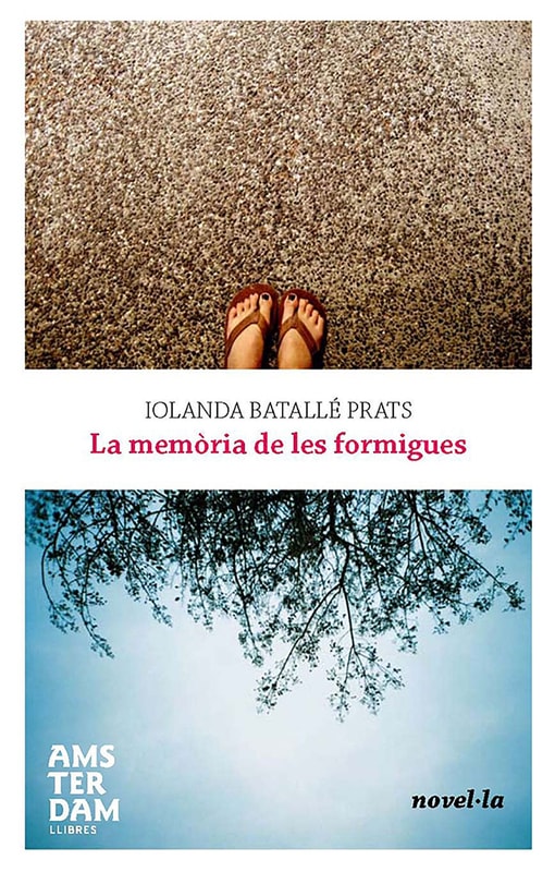La memòria de les formigues