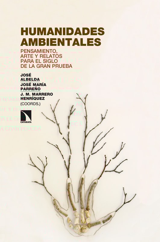 Humanidades ambientales