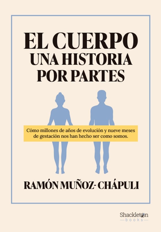 El cuerpo, una historia por partes