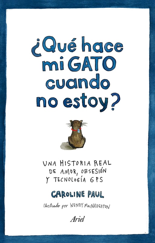 ¿Qué hace mi gato cuando no estoy?