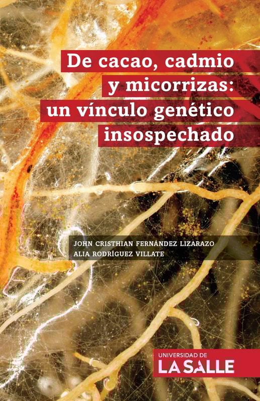 De cacao, cadmio y micorrizas