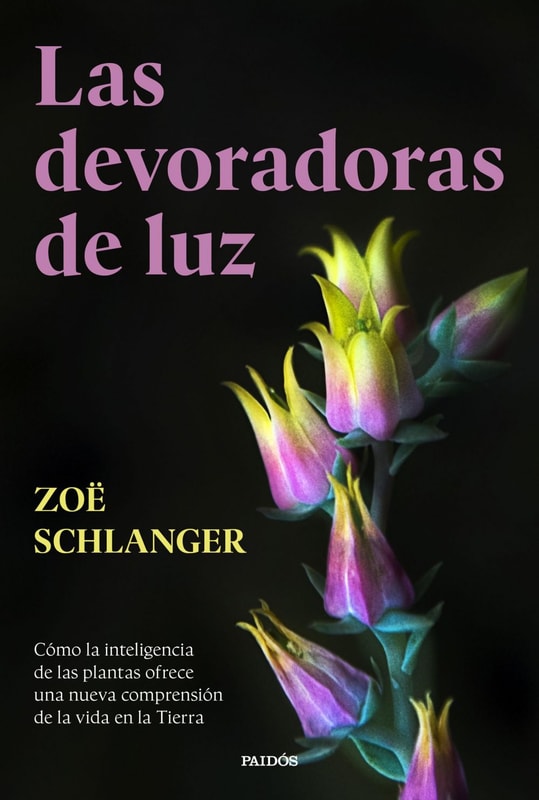 Las devoradoras de luz