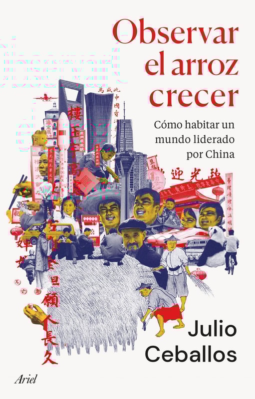 Observar el arroz crecer