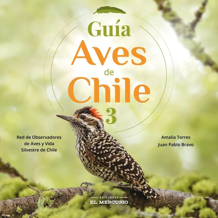 Guía aves de Chile 3