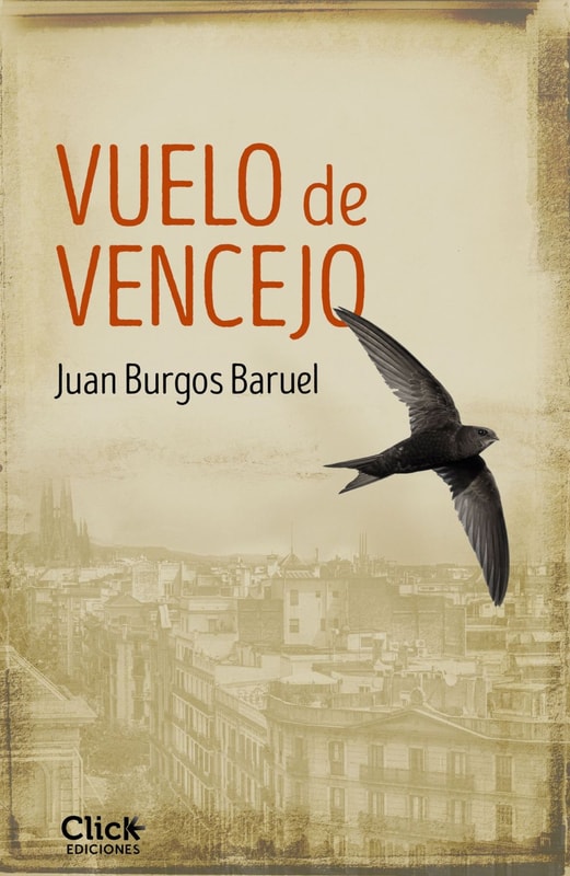 Vuelo de vencejo