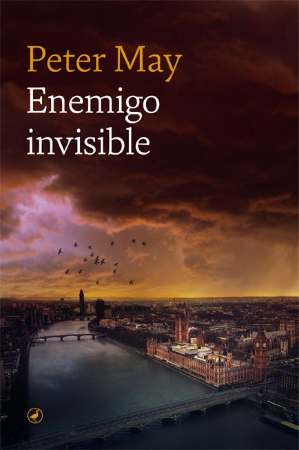 Dg-enemigo invisible