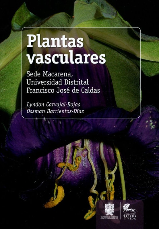 Plantas vasculares