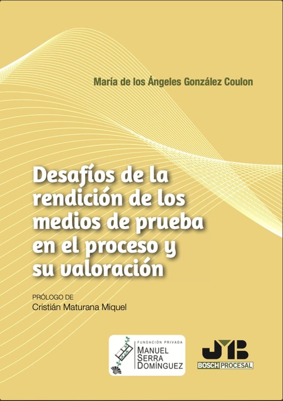 Desafíos de la rendición de los medios de prueba en el proceso y su valoración
