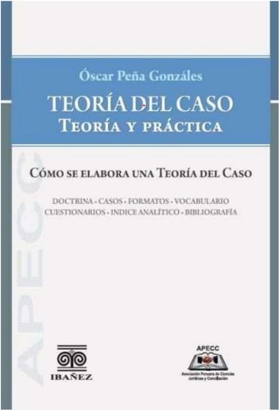 Teoría del caso. teoría y práctica