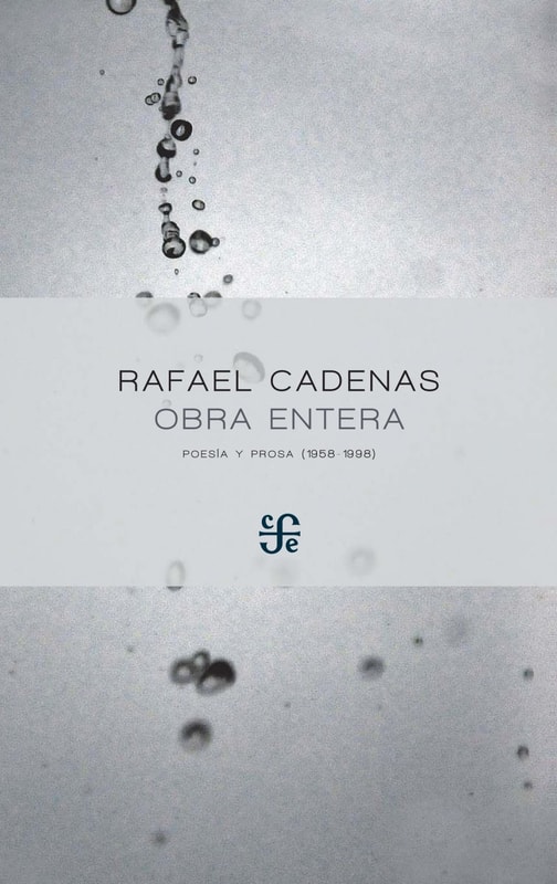 Obra entera