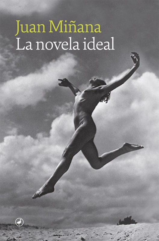 Dg-la novela ideal