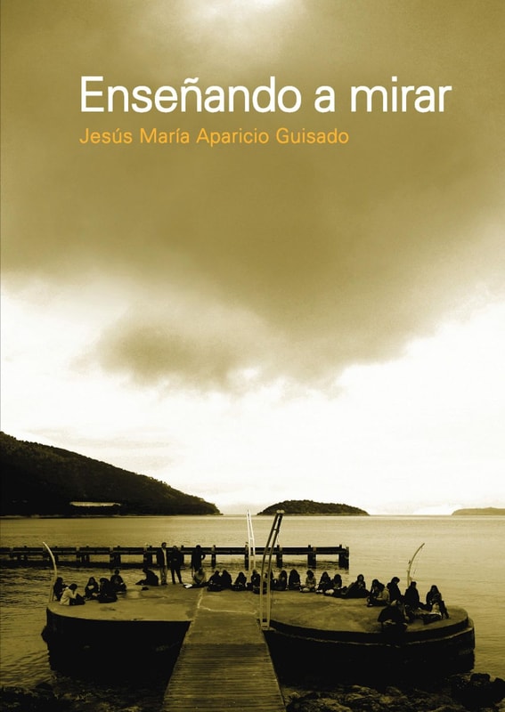 Enseñando a mirar
