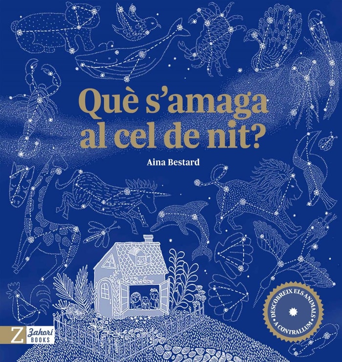 Què s'amaga al cel de nit?
