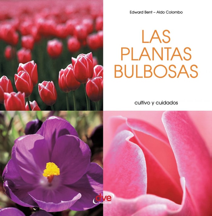 Las plantas bulbosas - Cultivo y cuidados