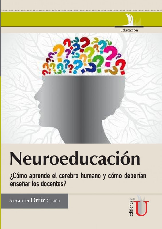 Neuroeducación ¿Cómo aprende el cerebro humano y cómo deberían enseñar los docentes?