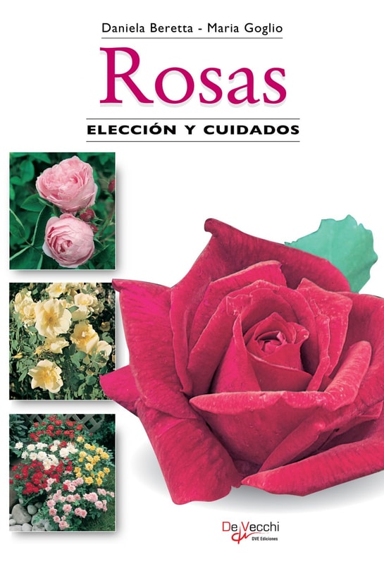 Rosas. Elección y cuidados