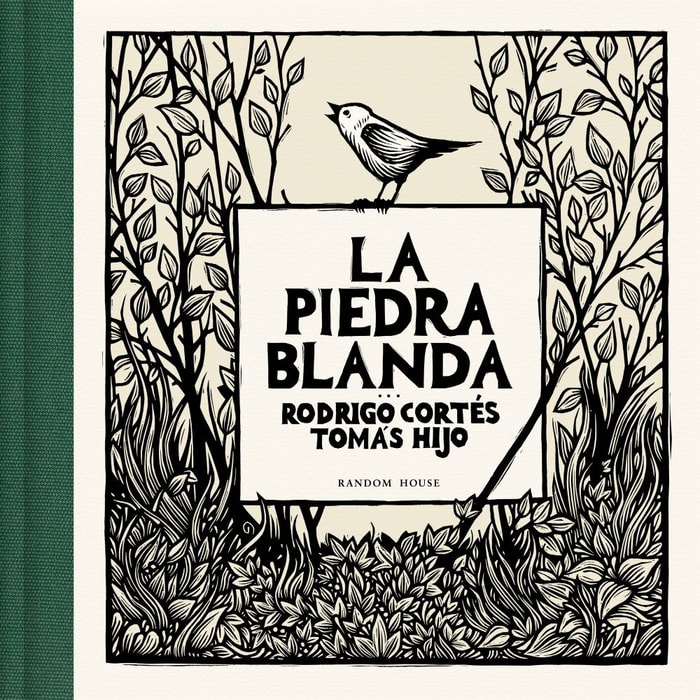 La piedra blanda