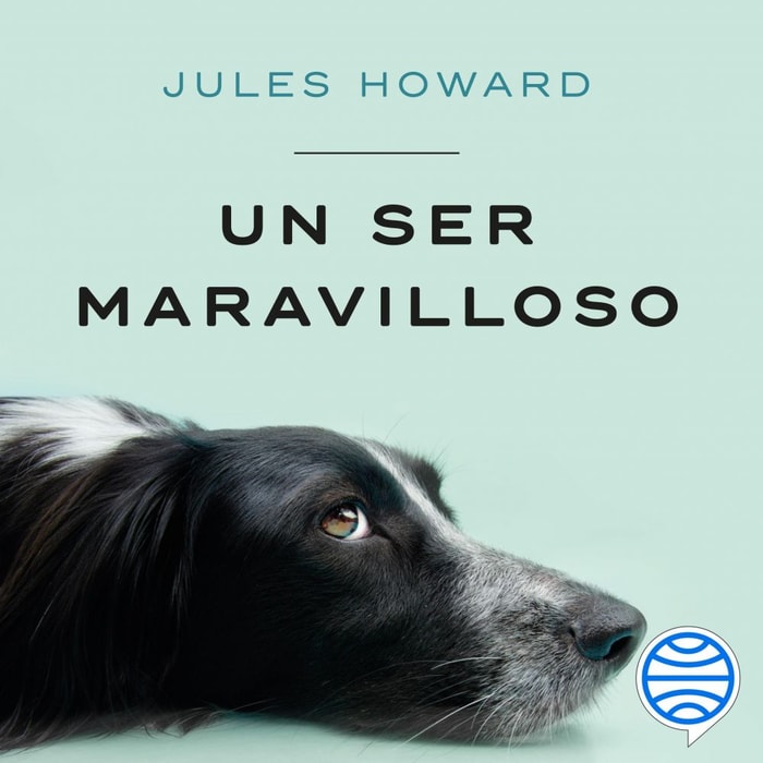 Un ser maravilloso