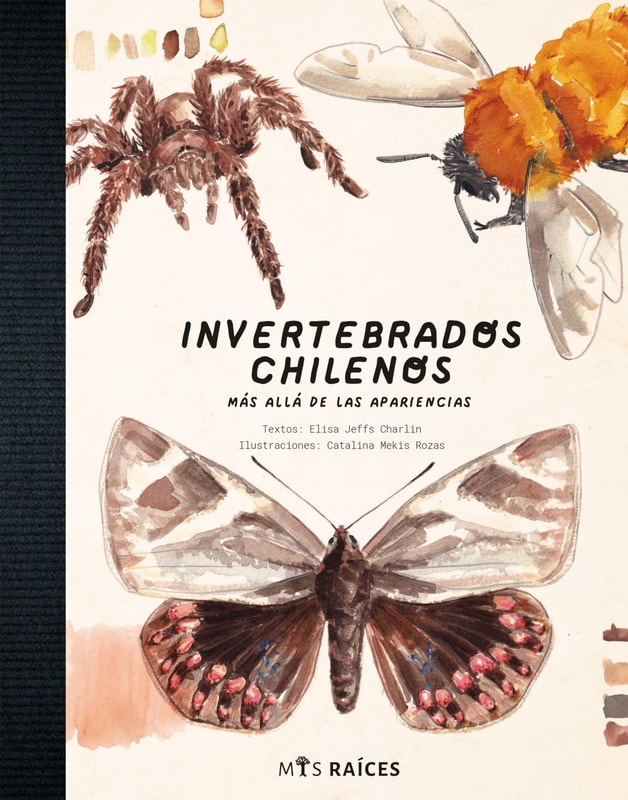 Invertebrados chilenos
