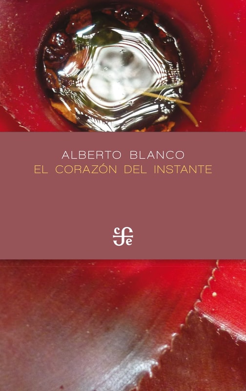 El corazón del instante