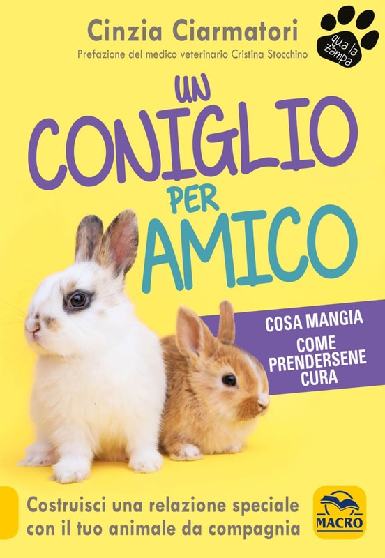Un coniglio per amico