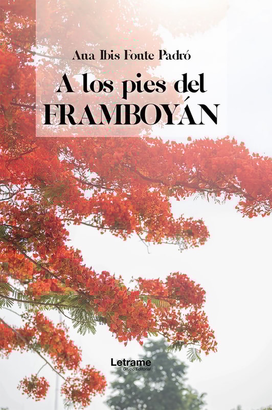 A los pies de framboyán