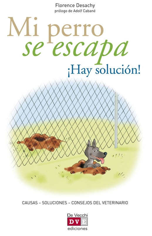 Mi perro se escapa ¡Hay solución!