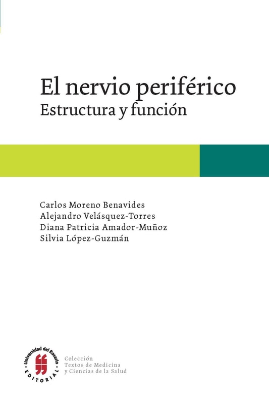 El nervio periférico